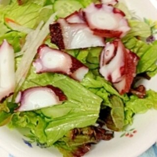 ゆでだこか刺身のたこレシピ 作り方の人気順 簡単料理の楽天レシピ ゆでだこか刺身のたこレシピ 作り方の人気順 簡単料理の楽天レシピ